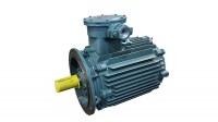 ATEX-Explosion-Proof-Electric-Motor2