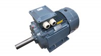 IEC-Explosion-Proof-Electric-Motor1