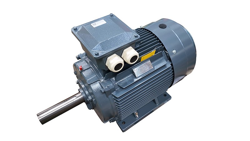 IEC-Explosion-Proof-Electric-Motor1